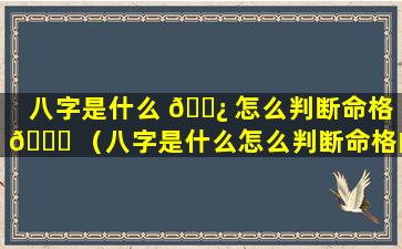 八字是什么 🌿 怎么判断命格 🐛 （八字是什么怎么判断命格的）